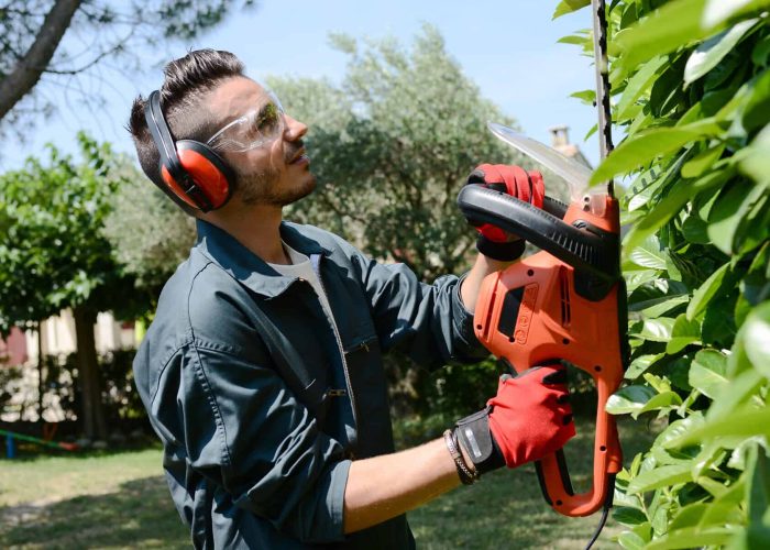 handsome young man gardener trimming hedgerow in park outdoor