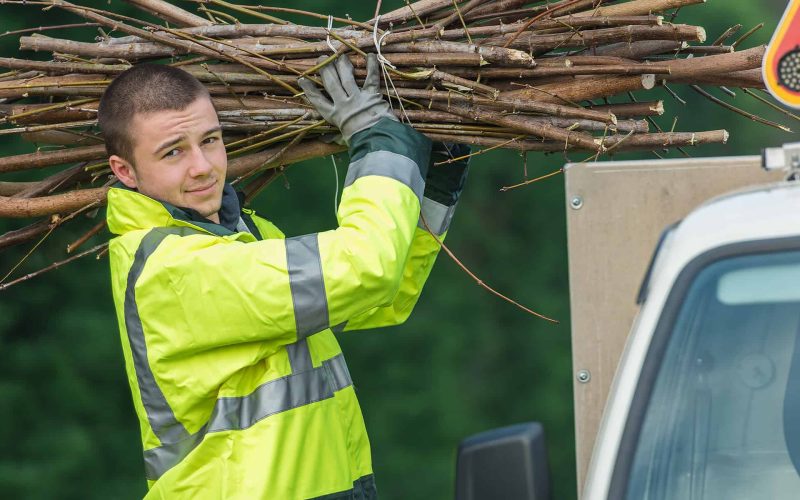 tree surgeon putting branches in his car