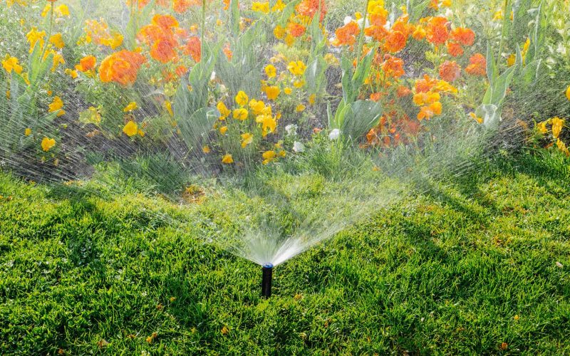 Smart garden activated with full automatic sprinkler irrigation system working early in the morning in green park - watering lawn and colourful flowers tulips narcissus and other types of spring flowers