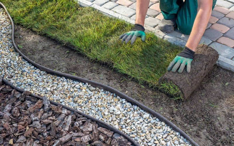 Gardener applying turf rolls in the backyard