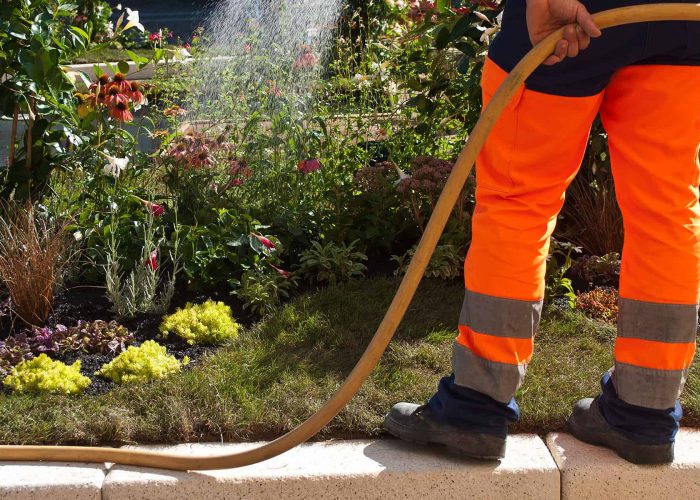 jardinnier municipal entrain d'arroser dans un jardin public