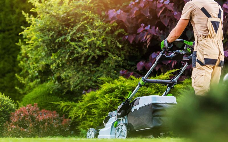 Caucasian Residential Garden Worker in His 40s Trimming Backyard Lawn Using Electric Cordless Grass Mower. Landscaping and Gardening Industry Theme.