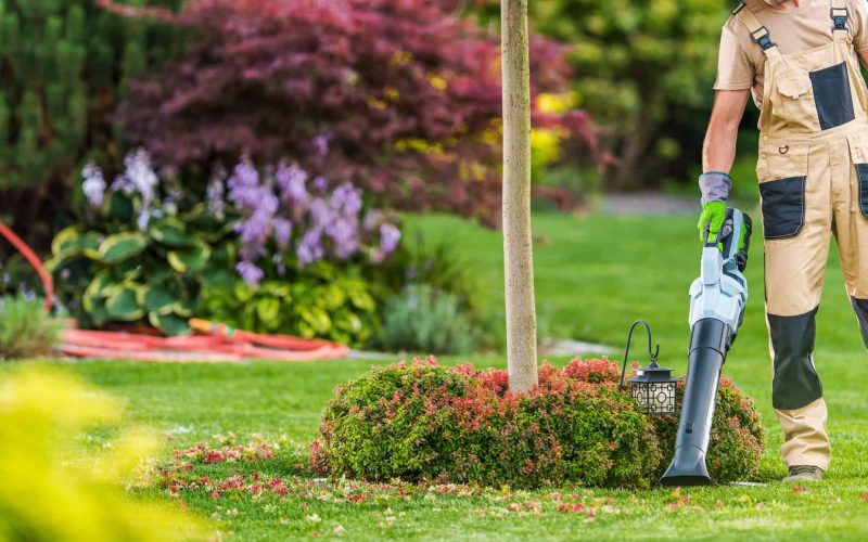 Caucasian Men in His 40s with Modern Electric Cordless Leaf Blower Cleaning His Backyard Garden.